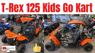 Apollo Vitacci T Rex 125 Go Cart Review In Baja Style Orange [upl. by Llevart]