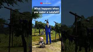 What happens when you water a Lalafell  Watering Can Emote  ffxiv finalfantasy14 ffxivmemes [upl. by Etnahs293]