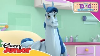 Gus Broken Wing  Doc McStuffins  Official Disney Channel Africa [upl. by Lucie]