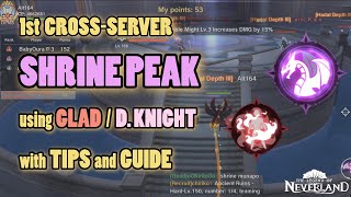 Shrine Peak TIPS and GUIDE 1st CrossServer Match  The Legend of Neverland [upl. by Ariaic]