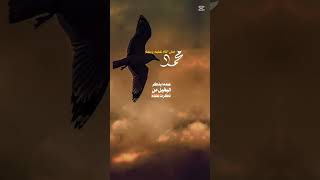 من أهمية الصلاة علي النبي صلى الله عليه وسلم [upl. by Nagirrek]