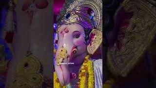 Tardeo cha raja Happy diwali ganpatibappamorya [upl. by Robbi]