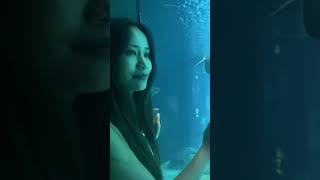 Oceanarium 💝💕 mayalu timi sanga [upl. by Mingche]