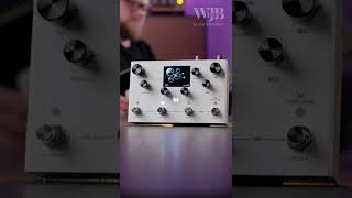 Three Sounds Meris LVX Modular Delay [upl. by Nohpets917]