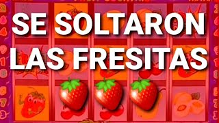 SE SOLTARON LAS FRESITAS 🍓🍓🍓  Moneditas Oficial 🙂 [upl. by Annaerda]