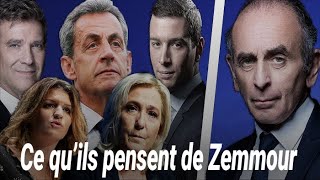 Ce que les adversaires d’Eric Zemmour pensent de lui [upl. by Alphonse561]