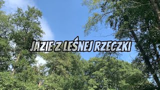 Jazie z leśnej rzeczki  łowie na xul [upl. by Kerat]