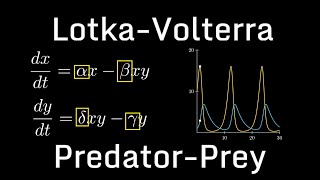 PredatorPrey Model LotkaVolterra [upl. by Caresa486]