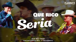 Que Rico Seria  Conjunto Rienda Real amp T3r Elemento Video Lyric [upl. by Nnayllas]