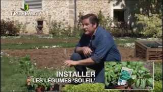 Calendrier du jardinier mai  que faire au jardin ou sur la terrasse  Truffaut [upl. by Ettelohcin]