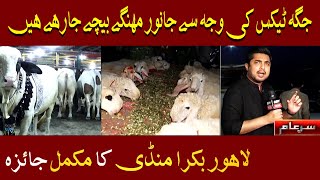 Sar e Aam Latest  Lahore Bakra Mandi ka Jaiza  Iqrar Ul Hassan  ARY News [upl. by Aennaej]