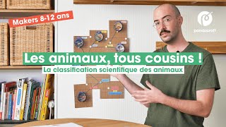 Octobre 2020  Julien texplique la classification des animaux 🐒 [upl. by Zora]