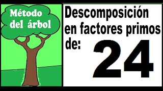 Descomposición en factores primos de 24 Método del árbol para descomponer 24 en factores primos [upl. by Harmaning]