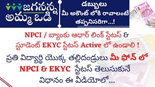 How to Check Ammavodi NPCI amp EKYC Status in Mobile Phone  Ammavodi Status  NPCI  EKYC  AMMAVODI [upl. by Ladiv]