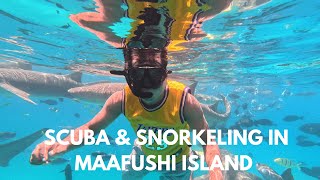 Scuba amp Snorkeling in Maafushi Island Maldives MaldivesTour Maldivestourism travelVlog [upl. by Pape]