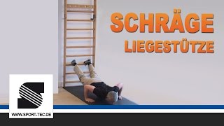 NOHrD Sprossenwand Übung 1124 Schräge Liegestütze [upl. by Llenrup]