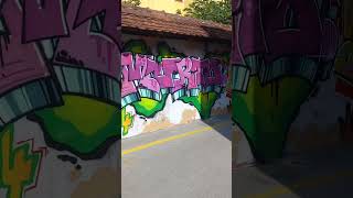 Graffity in Celje slovenia travel shorts [upl. by Adin]