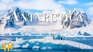 Antarctica 4K  Discovering the Majestic Icebergs and Pristine Wilderness  Relaxing Music [upl. by Aizan]