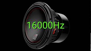 Tone frequency 16000Hz Test your hearing speakersheadphonessubwoofer [upl. by Sallad]