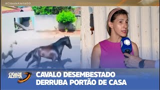 SÓ EM GOIÁS CAVALO DESEMBESTADO DERRUBA PORTÃO DE CASA [upl. by Ida]