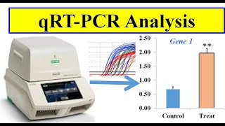 Analyzing real time PCR data [upl. by Lilia]