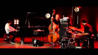 Avishai Cohen  Seven Seas Live Nancy Jazz Pulsations 2015 [upl. by Hoashis804]