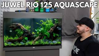 Juwel Rio 125 Aquascape Aquarium einrichten [upl. by Yesrej]