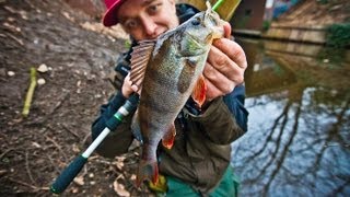 Angeln auf Barsch  Spinnfischen mit MicroBaits im Winter [upl. by Innej]