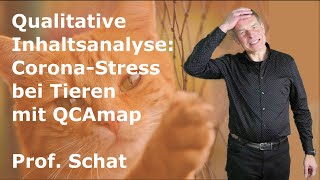 Qualitative Inhaltsanalyse Corona Stress bei Tieren [upl. by Hawkie44]