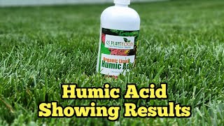 Humic Acid Application Mid Season Backyard Overview Update [upl. by Lledo573]