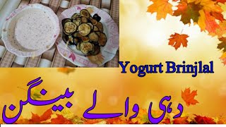 yogurt brinjalbananay ka asan aur munfrid dishbilkul sasti meari aur umda respe [upl. by Rawdan]