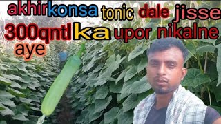 The Best Kheera Tonic under 35 se 40 days khira kheera [upl. by Ddart]