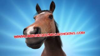 Horse Whinny Custom Musical Car Horn [upl. by Janela588]