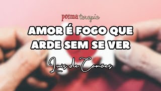 AMOR É FOGO QUE ARDE SEM SE VER de Luís de Camões [upl. by Rayburn]