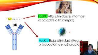 Hipersensibilidad tipo I Celulas y Mediadores [upl. by Best890]