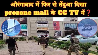 औरंगाबाद में फिर से तेंदुआ दिखा prozone mall के CC TV में ❓prozonemall leopard aurangabad cctv [upl. by Marijn799]