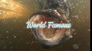 World Famous Kenansville Bass Fishing [upl. by Sueddaht]