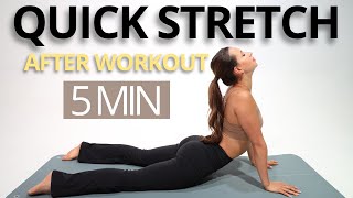 5 MIN QUICK FULL BODY STRETCHING EXERCISES FOR AFTER WORKOUT  Relax recover and gain flexibility [upl. by Labana]