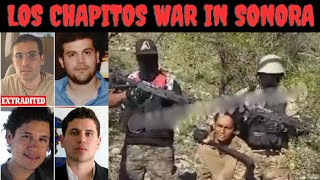 Los Chapitos War Is Heating Up In Sonora  Video Released Depicting The Evisceration Of A Captive [upl. by Atirys314]