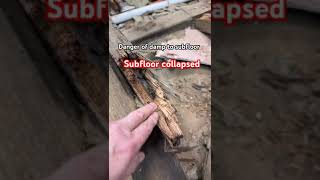 Subfloor collapsed due to high dapm within floors underneath [upl. by Dalohcin]