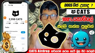 Cats airdrop sinhala  e money sinhala  online salli hoyana krama  online jobs [upl. by Olenta]