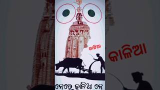 ନେରେ କାଳିଆ ନେ ତୋ ସ୍ବର୍ଗ ଦ୍ୱାରେ ମୋତେ ଜାଗା ଦେ odiavajan Partha k Vlog [upl. by Nelyag225]