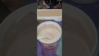 BERGER WALMASTA EXTERIOR EMULSIONMacadamia Toast code2P0037ytshorts satisfying [upl. by Changaris]