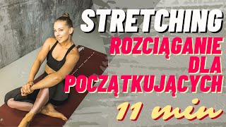 Stretching dla początkujących rozciąganie  Paula Piotrzkowska [upl. by Nymassej]