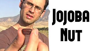 Jojoba Nut Review  Weird Fruit Explorer Ep 257 [upl. by Huppert]