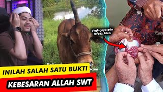 MEME SPESIAL LEBARAN IDUL ADHA DAN QURBAN🗿🗿🗿Reaction TikTok [upl. by Agna]