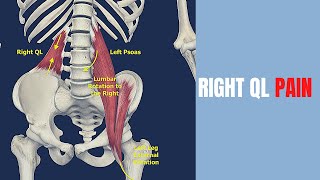 Quadratus Lumborum and Left Psoas Stretches for Pelvic Tilts [upl. by Eittocs189]