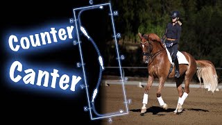 How to Introduce the Counter Canter [upl. by Dub]