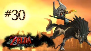 Lets Play TLoZ Twilight Princess 30 Amnesia portami via [upl. by Dermot]