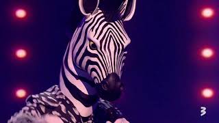 quotBalss maskāquot Zebra  Cant Feel My Face [upl. by Ziguard]